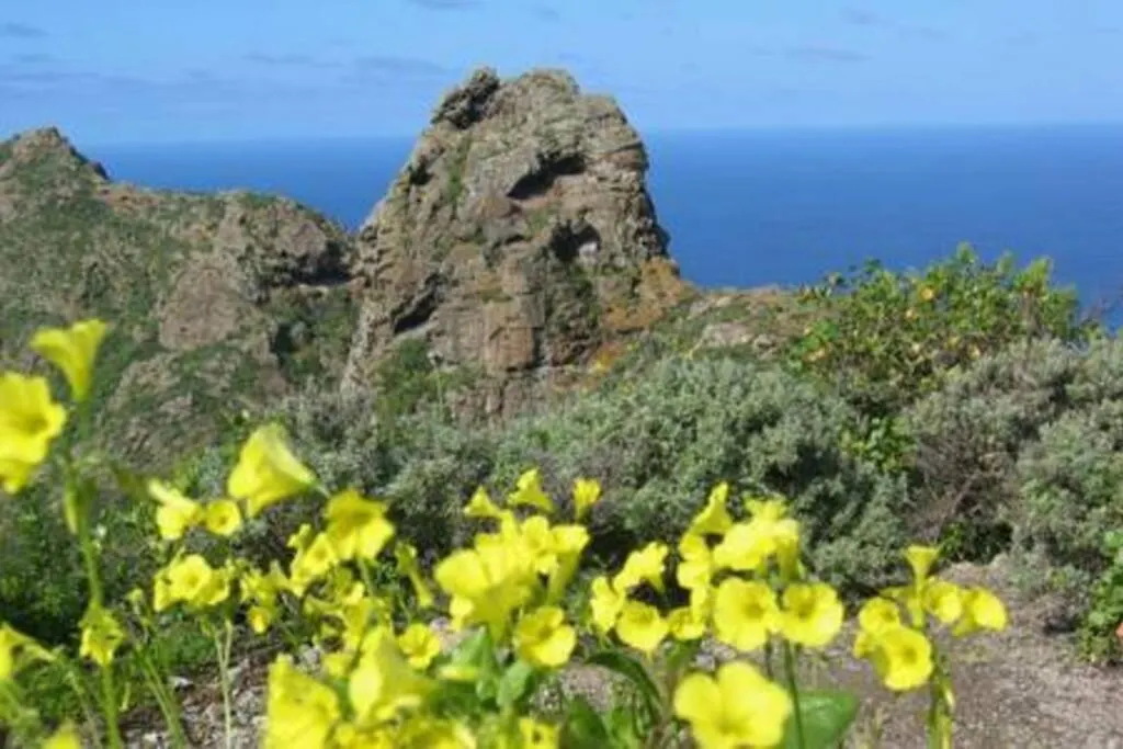 House Rural,Biosphere Reserve World.Taganana.Tfe. Santa Cruz de Tenerife Spain